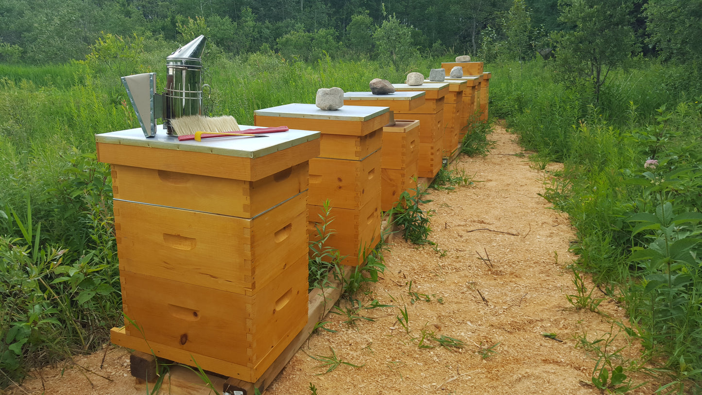 Nucs for 2026 - May 23rd SOLD OUT