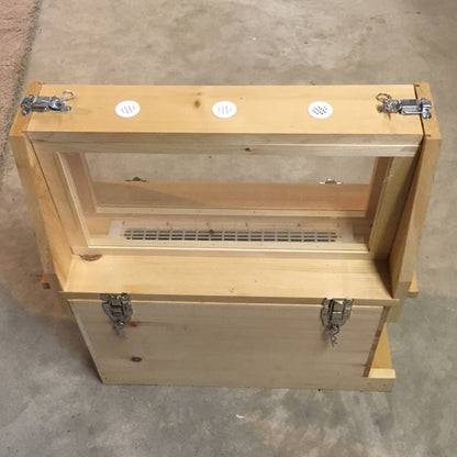 Observation Hive