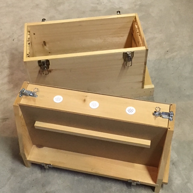 Observation Hive