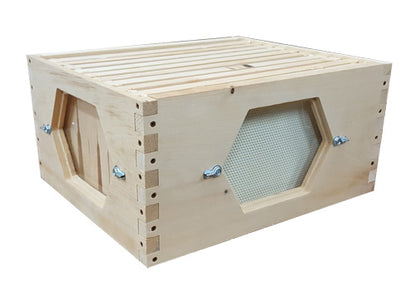Peek-A-Bee Observation Box