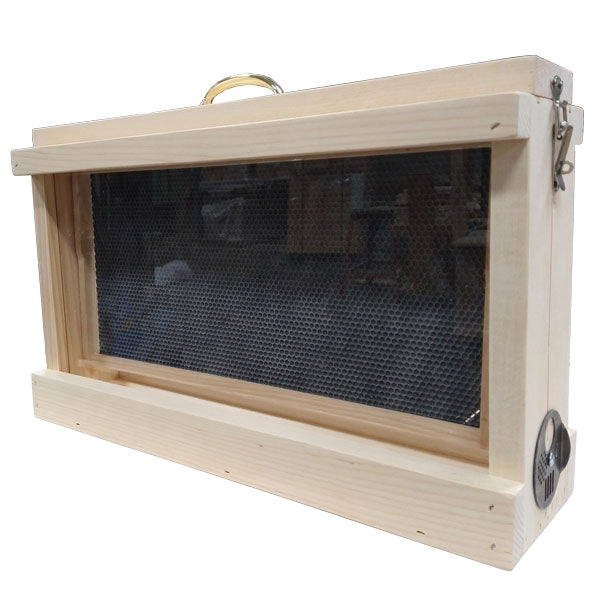 Observation Hive - Single Frame